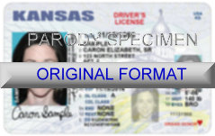 Kansas Fake ID Template Large