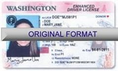 Washington Fake ID Template Small