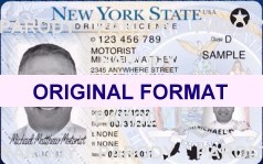 NEW YORK DRIVER LICENSE ORIGINAL FORMAT, DESIGN SPECIFICATIONS, NOVELTY SECURITY CARD PROFILES, IDENTITY, NEW SOFTWARE ID SOFTWARE NEW YORK driver