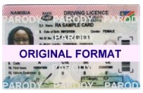 namibia fake id fake driver license namibia