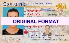 California Scannable Fake ID's