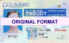 fake del;aware id card scannable