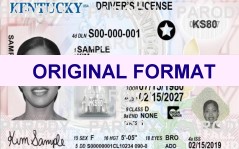 Kentucky Scannable Fake ID's