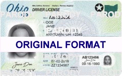 Ohio Scannable Fake ID's
