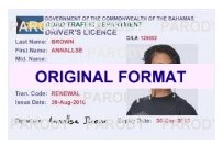 Bahamas Fake Id Scannable Bahams Driver License