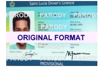 saint lucia fke id fake driver license saint lucia