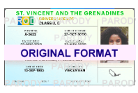 st vincent and the grenadines fake id